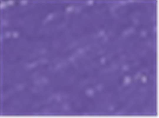 Swatch for Purple/ Silver