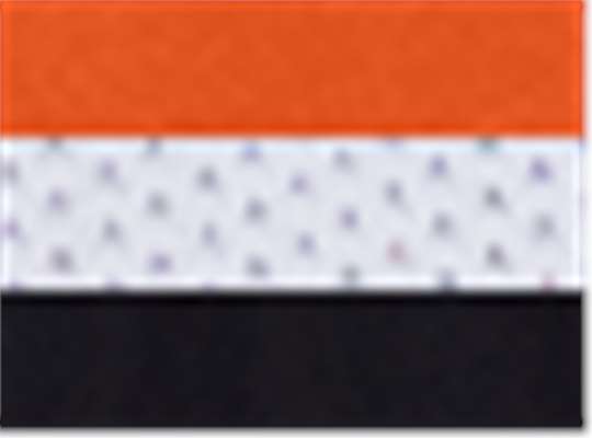 Swatch for Orange/ White/ Black