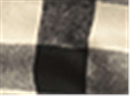 Swatch for Ecru/ Black Buffalo