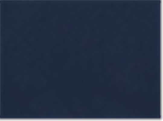 Swatch for Collegiate Navy/ Mid Grey