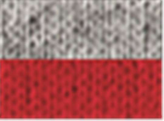 Swatch for Oxford/ True Red