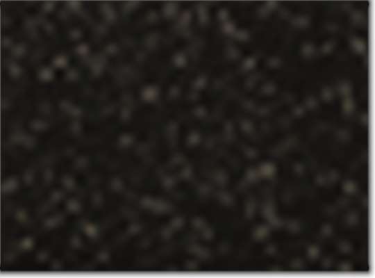 Swatch for Black/ Gold