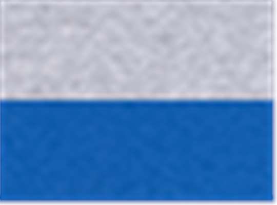 Swatch for Sport Grey/ Royal