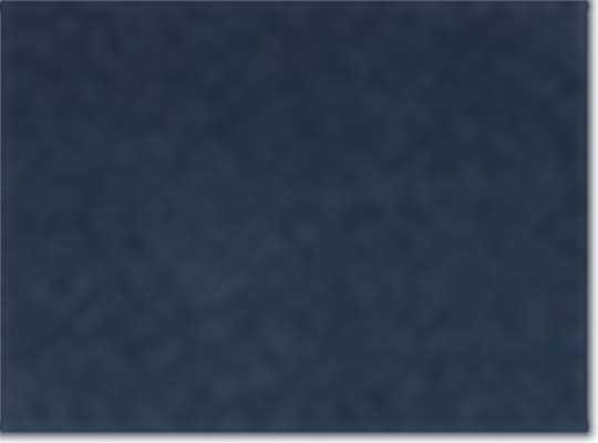 Swatch for Columbia Navy
