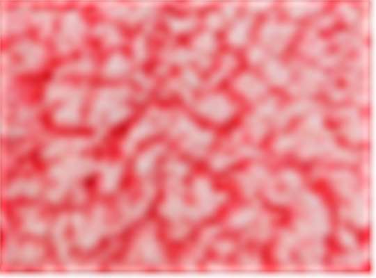Swatch for Fire Coral Heather