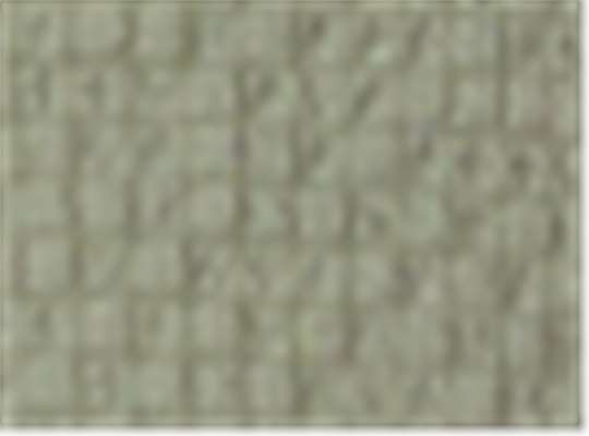 Swatch for Safari