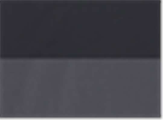 Swatch for Black/ Shark