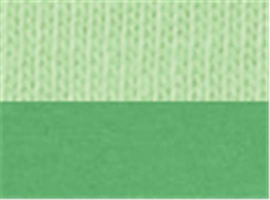 Swatch for Mint/ Grass