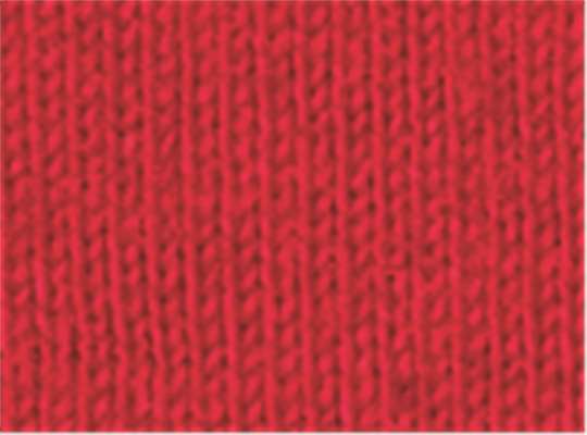 Swatch for Athletic Red