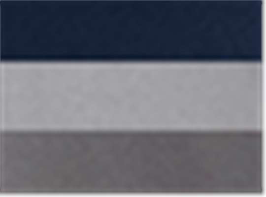 Swatch for Collegiate Navy/ Grey Three/ Grey Five