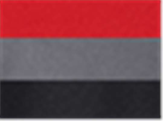 Swatch for Collegiate Red/ Grey Five/ Black