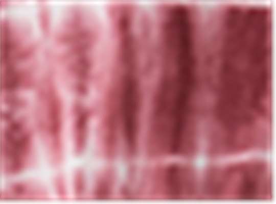 Swatch for Maroon