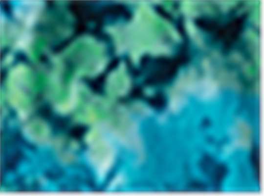 Swatch for Caribbean