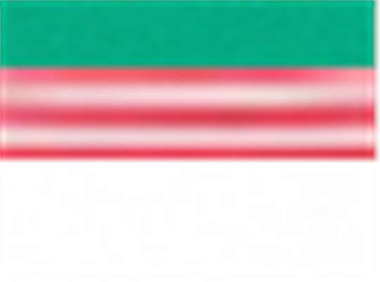 Swatch for Kelly/ White/ Red-White Stripe