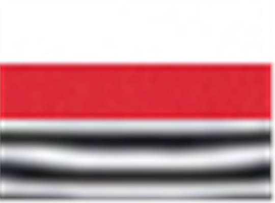 Swatch for White/ Red/ Navy-White Stripe