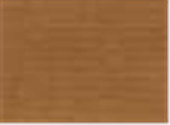 Swatch for Brown Duck - 34I