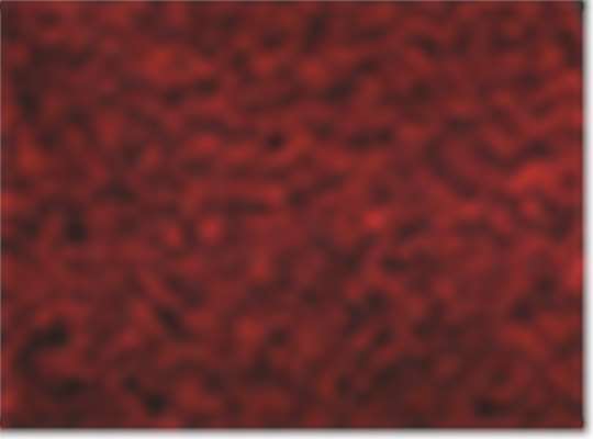 Swatch for Heather Red