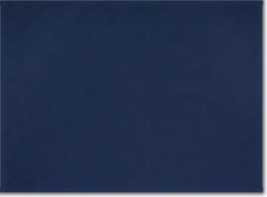 Swatch for Team Navy Blue/ Grey Five