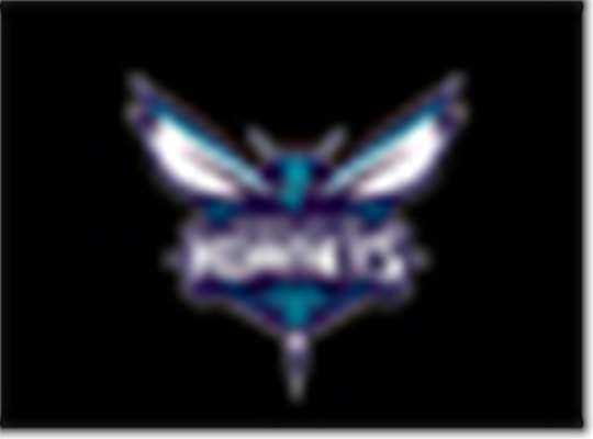 Swatch for Charlotte Hornets