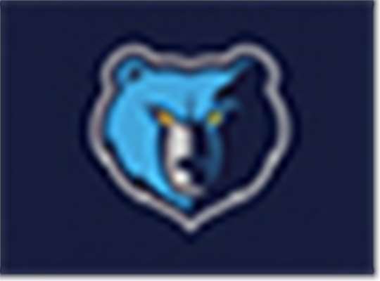 Swatch for Memphis Grizzlies