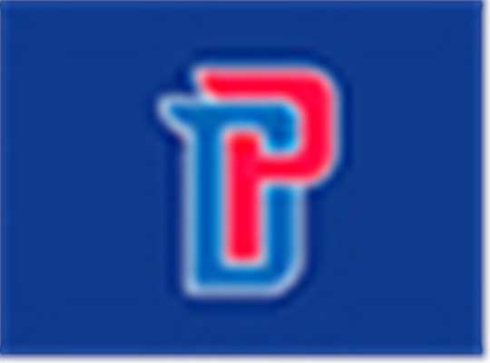 Swatch for Detroit Pistons