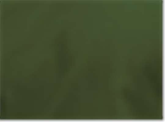 Swatch for Military Green
