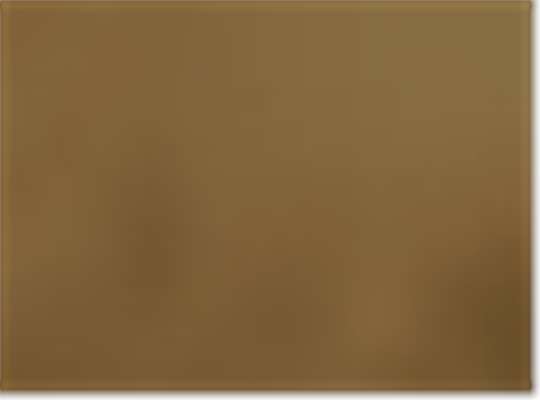 Swatch for Coyote Brown