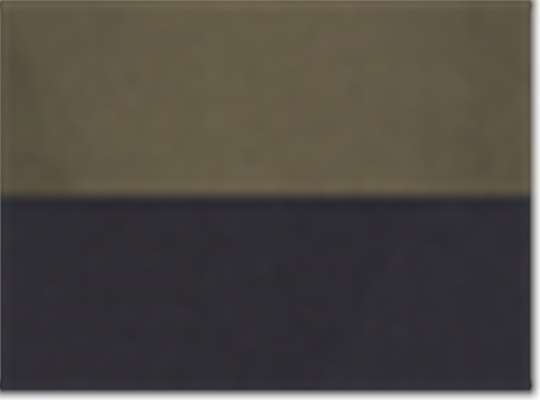 Swatch for Olive/ Black