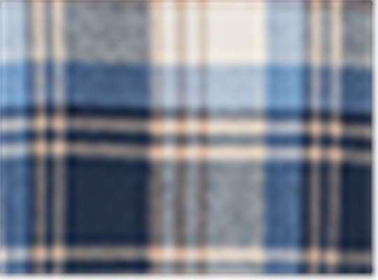 Swatch for Blue/ Ecru