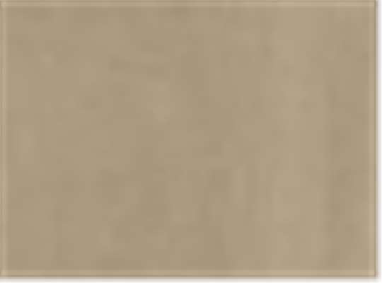 Swatch for Rinsed Khaki