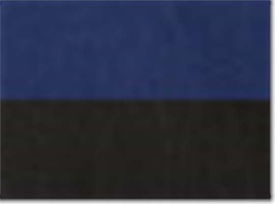 Swatch for Cobalt Blue/ Black