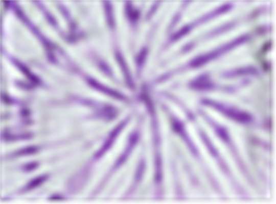 Swatch for Amethyst
