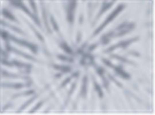 Swatch for Platinum