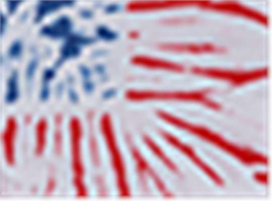 Swatch for Fantastic Flag