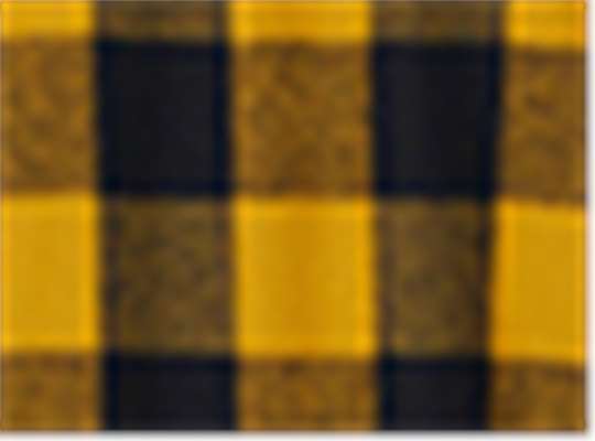 Swatch for Gold/ Black