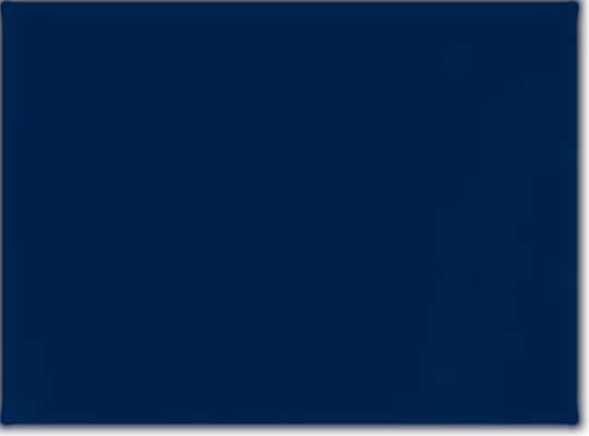 Swatch for Navy