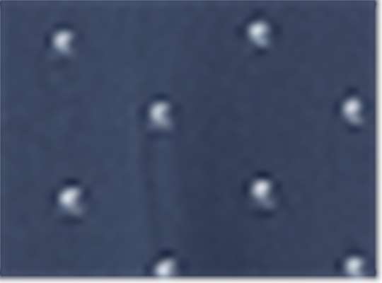 Swatch for Collegiate Navy/ White