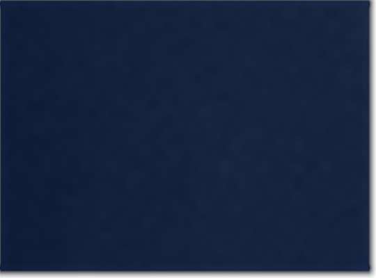 Swatch for Athletic Navy