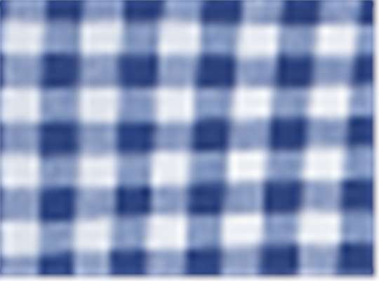 Swatch for Navy/ White Gingham