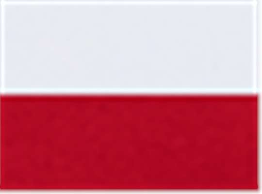 Swatch for White/ Red