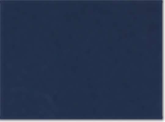 Swatch for Collegiate Navy