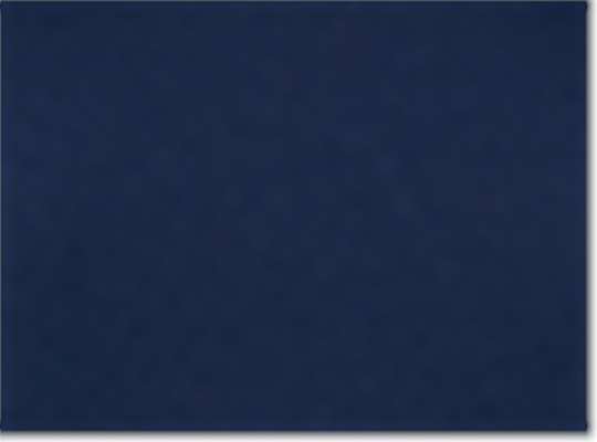 Swatch for Team Navy Blue/ White