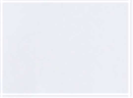 Swatch for White/ Black