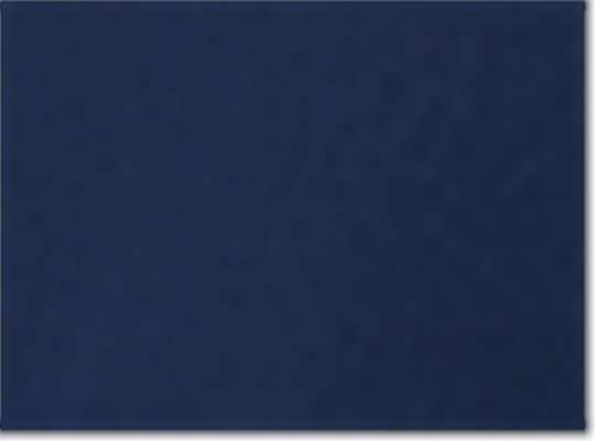 Swatch for Team Navy Blue/ Grey Two