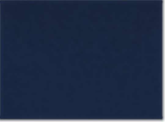 Swatch for Team Navy Blue