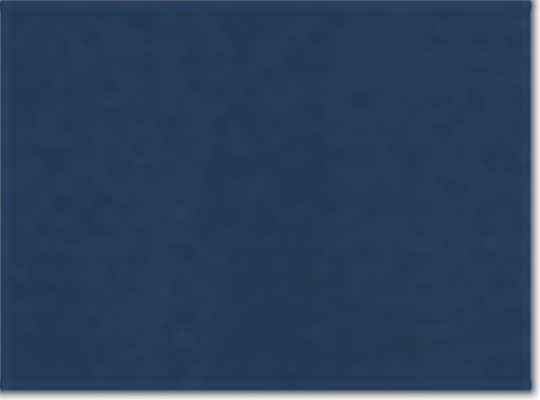 Swatch for Collegiate Navy