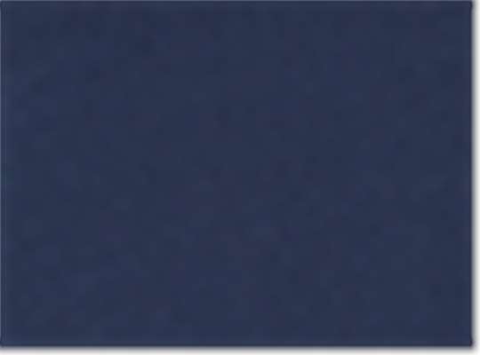 Swatch for Collegiate Navy