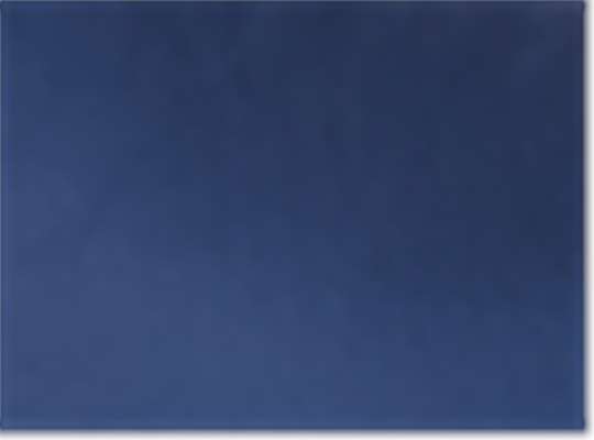 Swatch for Team Navy Blue
