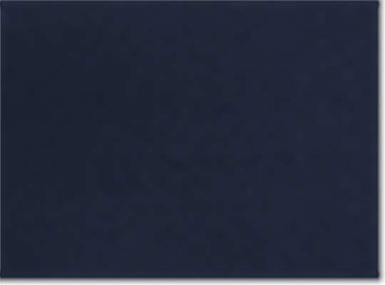 Swatch for Collegiate Navy