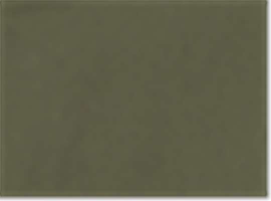 Swatch for Olive